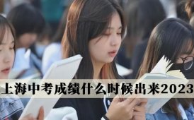 昂立教育上海中考成绩什么时候出来2023-分数线多少